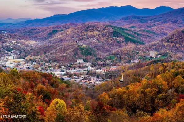 1409 Arbon DR, Gatlinburg, TN 37738