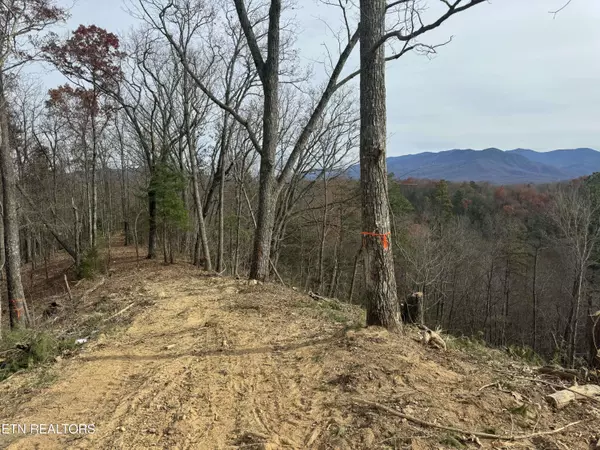 Lot 4 Powdermill Rd, Gatlinburg, TN 37738