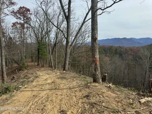 Lot 1 Vista DR, Gatlinburg, TN 37738