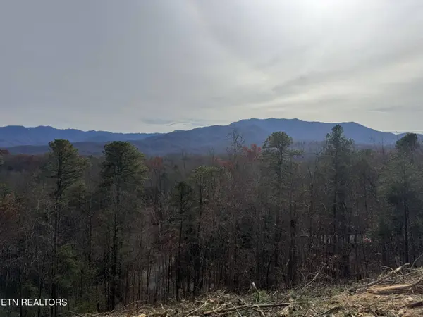 Lot 1 Vista DR, Gatlinburg, TN 37738