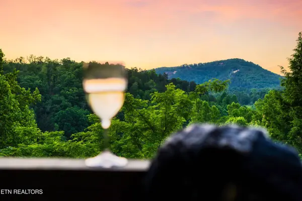 4314 Carolina Cove WAY, Pigeon Forge, TN 37863