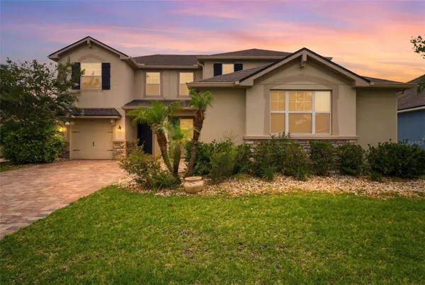 1011 LEE SHORE ST, Valrico, FL 33594