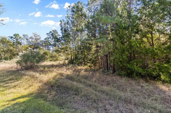 26 N Royale Greens DR, Coldspring, TX 77331