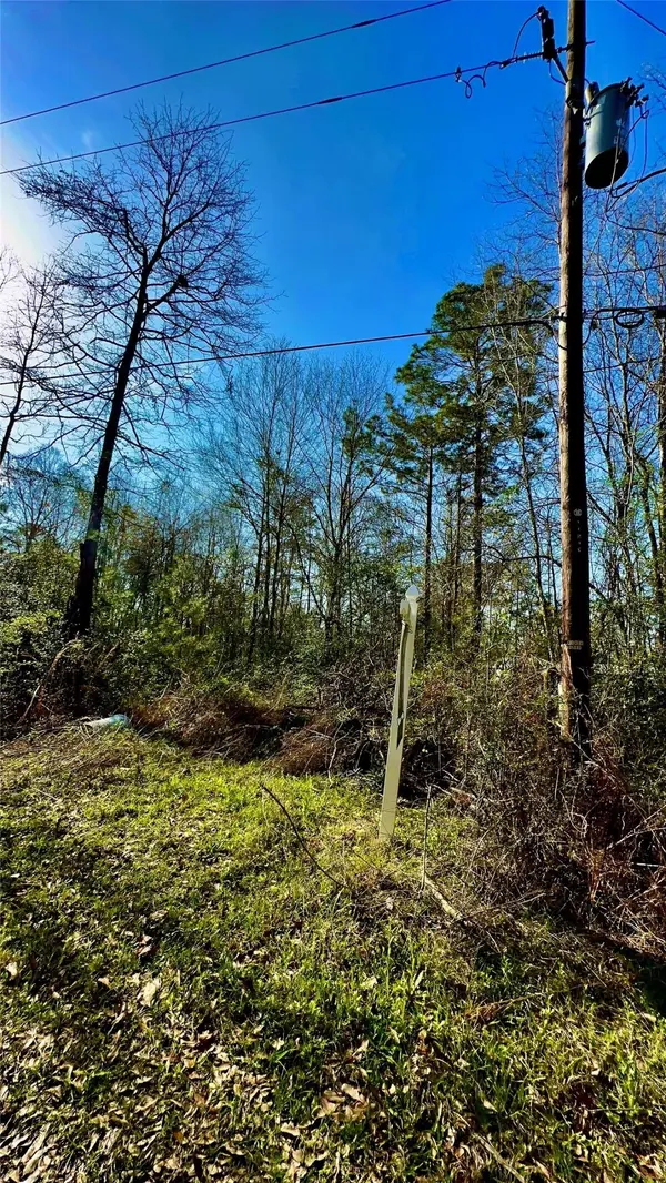 26992 Diamond C, Montgomery, TX 77372