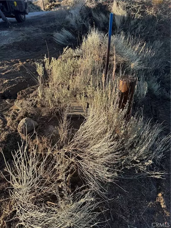 24080 El Rancho, Tehachapi, CA 93561