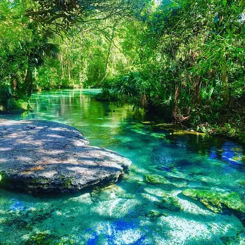 Living in Central Florida: Best Schools, Parks, and Attractions for Families
