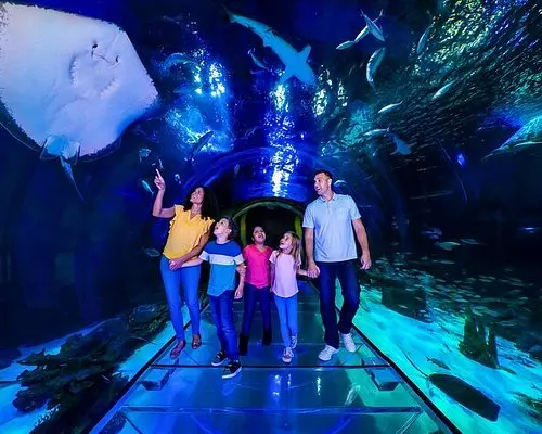 Central Florida’s Hidden Gem: Why It’s More Than Just Sunshine