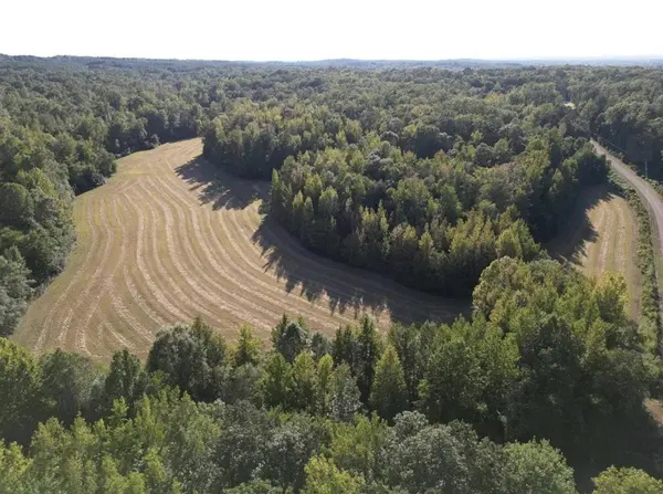 3085 FORREST HILL RD, Bolivar, TN 38008
