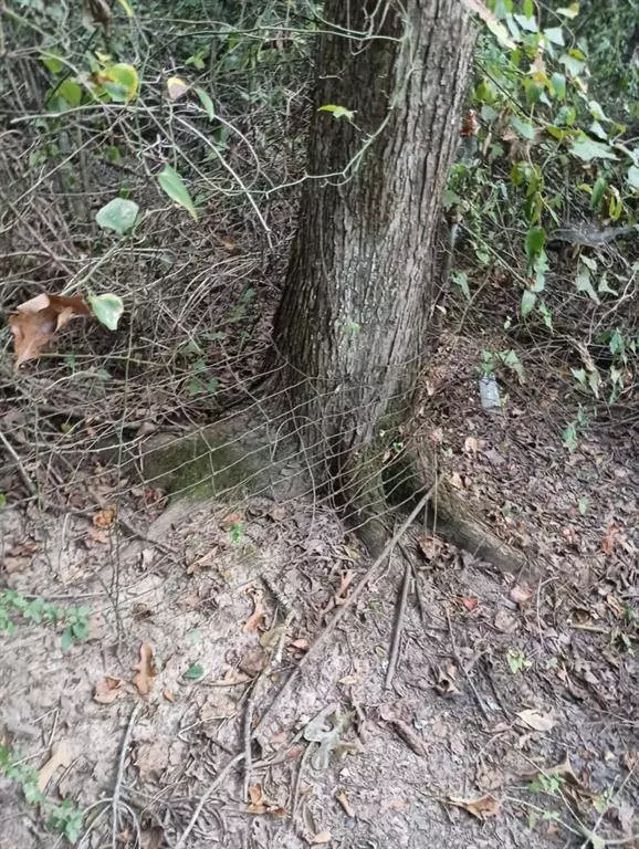 0 Standard Oil Road, Shreveport, LA 71108