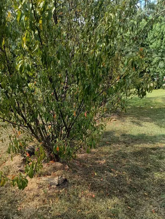 0 Standard Oil Road, Shreveport, LA 71108