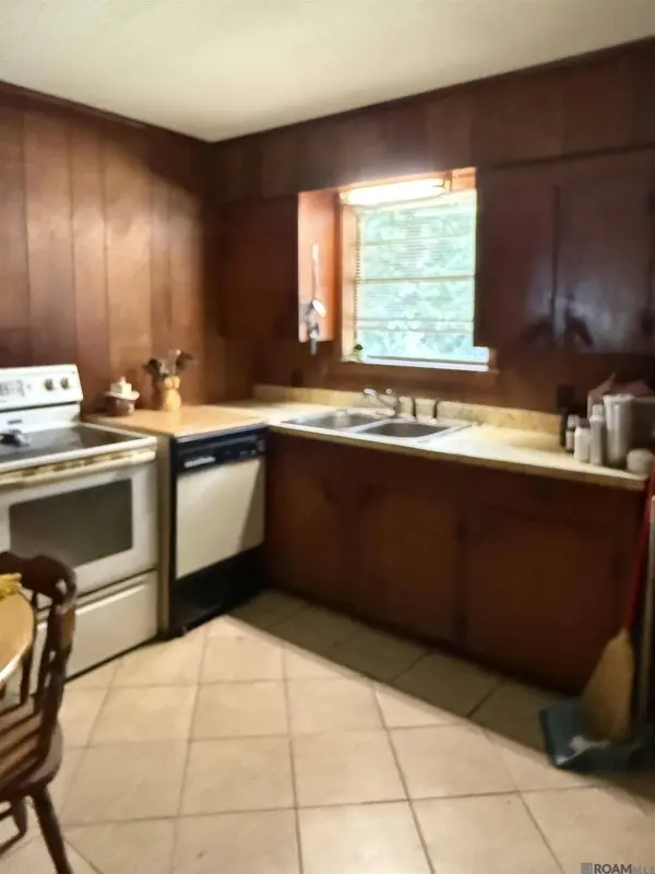 32031 Shelly Dr, Springfield, LA 70462