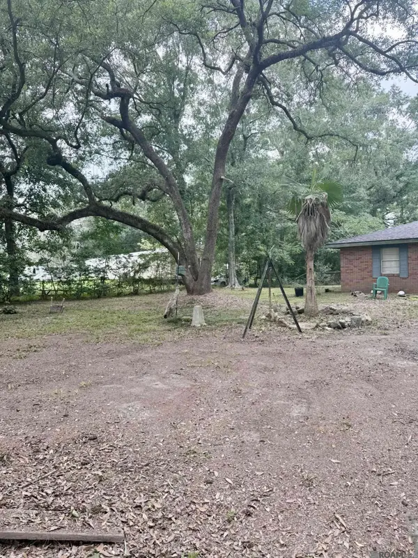 32031 Shelly Dr, Springfield, LA 70462