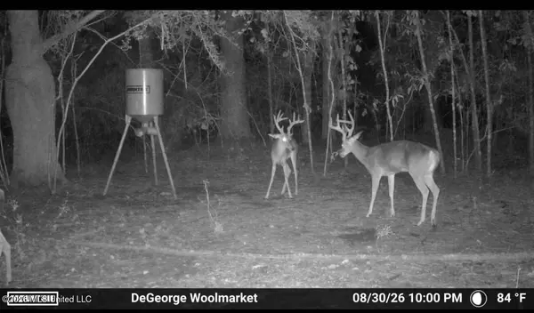 Woolmarket Road, Biloxi, MS 39532
