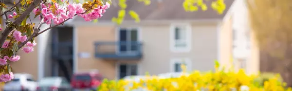 feature image of Spring Home Maintenance: Protect Your Investment