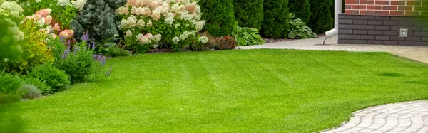 feature image of Lawn Care Tips: Keep Your Yard Lush &amp; Green This Spring