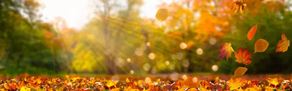 Fall-Prep Home Checklist š