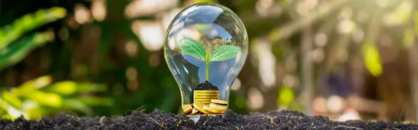 Energy-Efficient Appliances Worth the Switch