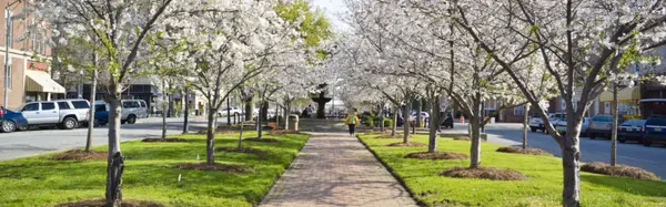 Why Spring Is a Powerful Time to List Your Home,Natasha Johnson