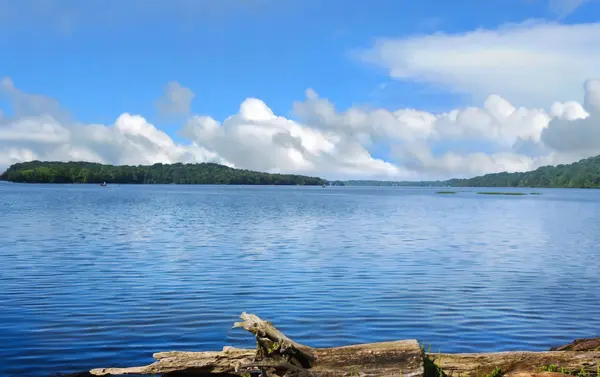 feature image of Old Hickory Lake Home Buying Guide: What Buyers Should Consider Beyond the Water View