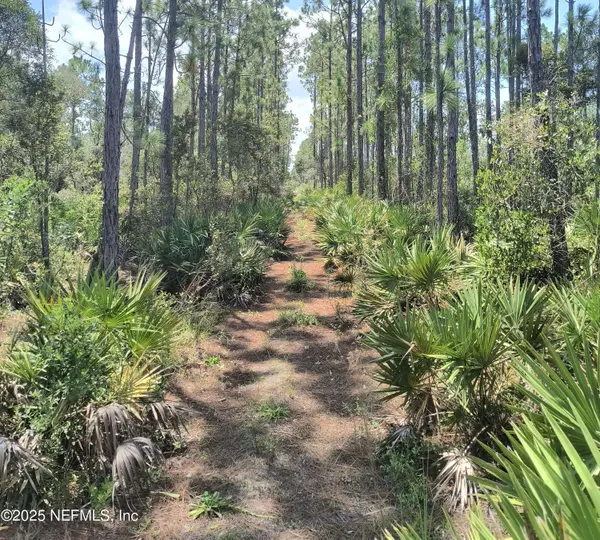 708 SQUARES RD, Palatka, FL 32177