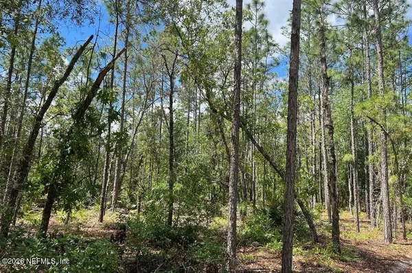 0000 LADY BUG LN, Melrose, FL 32666