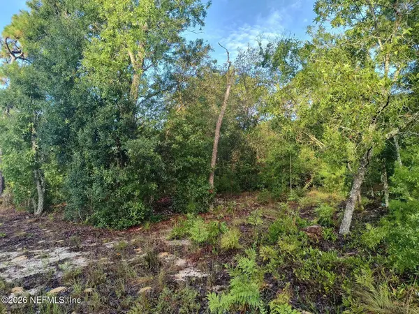 7150 WESLEYAN DR, Keystone Heights, FL 32656