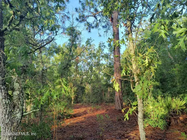 7150 WESLEYAN DR, Keystone Heights, FL 32656