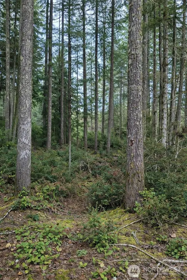 2495 Christopher RD NW, Seabeck, WA 98380