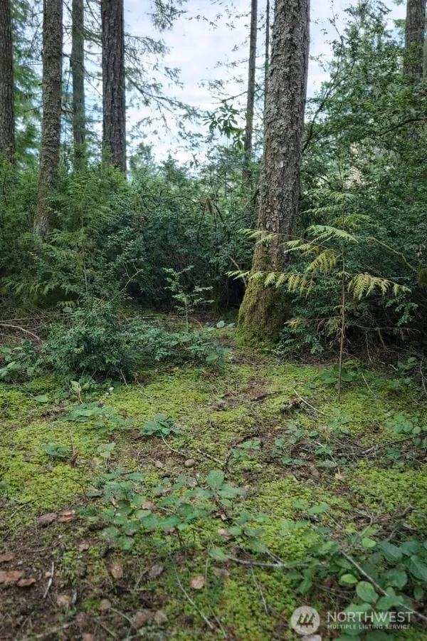 2495 Christopher RD NW, Seabeck, WA 98380