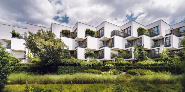 Top Eco-Conscious Products for a Sustainable Home