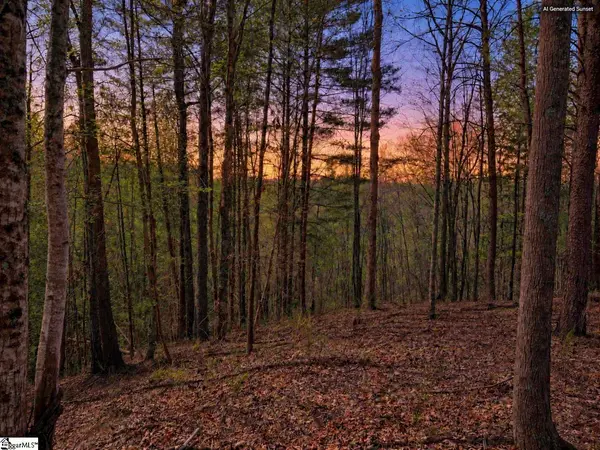217 Buttercup Way, Sunset, SC 29685
