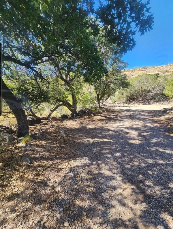 956 Badger Trl, Clifton, AZ 85533
