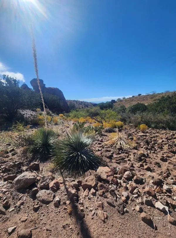 956 Badger Trl, Clifton, AZ 85533