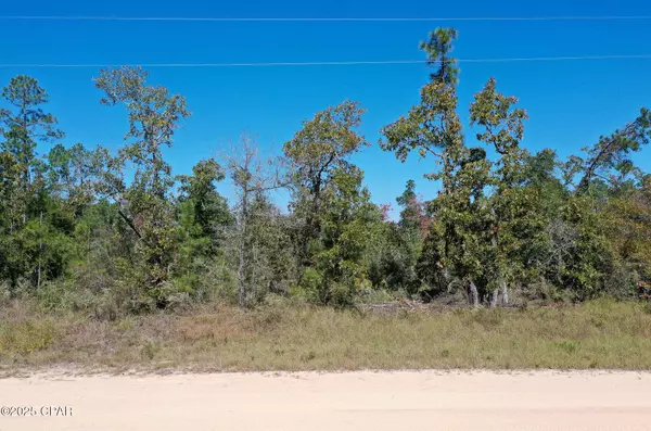 Lot 5 BLK 138 Abraham ST, Alford, FL 32420