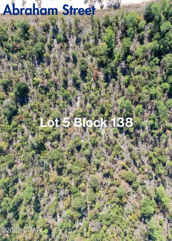 Lot 5 BLK 138 Abraham ST, Alford, FL 32420