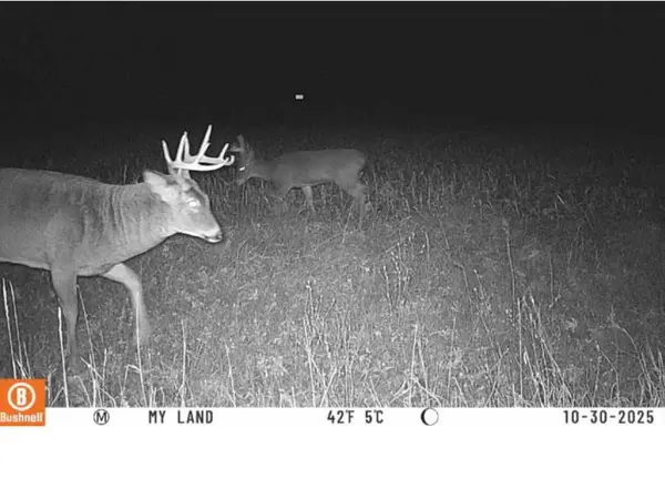 Lot 1 Hwy 22, Montello, WI 53949