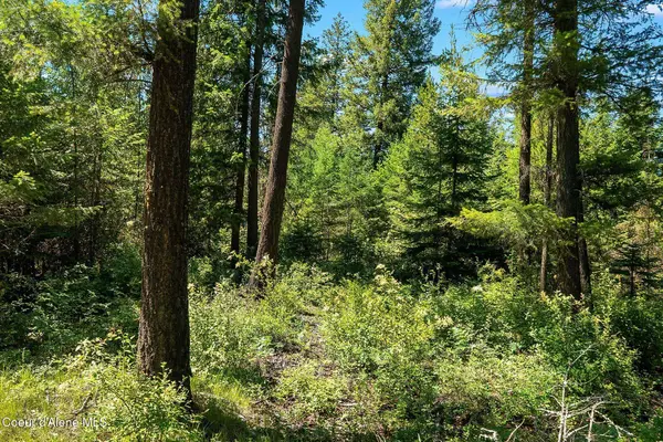 NNA B5L4 Graham Ave, Priest River, ID 83856