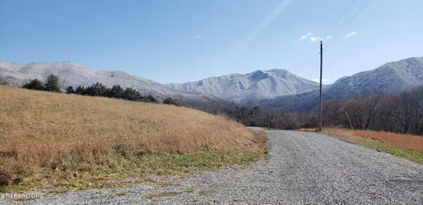 269 Mountain Mist LN, Del Rio, TN 37727