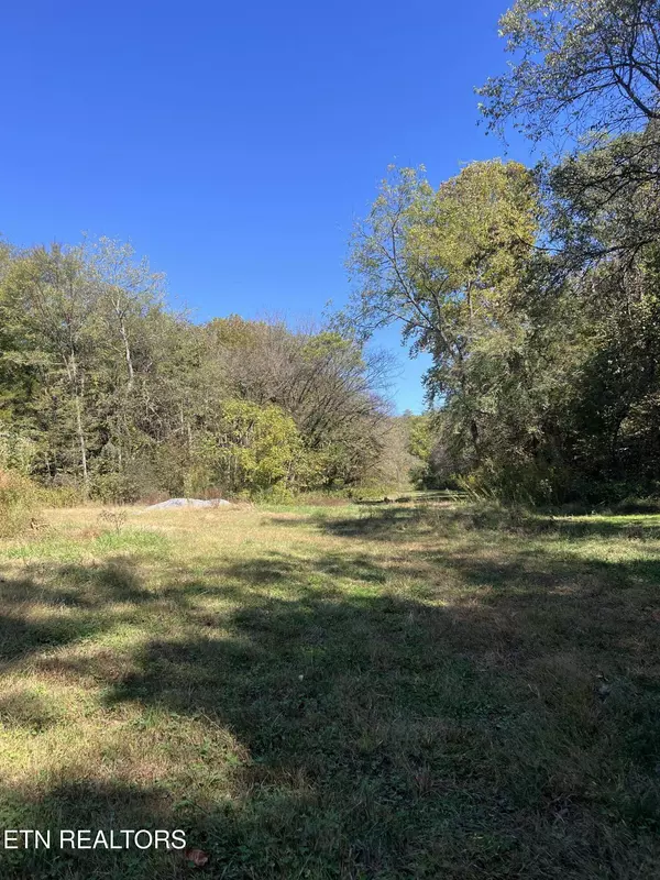 269 Mountain Mist LN, Del Rio, TN 37727