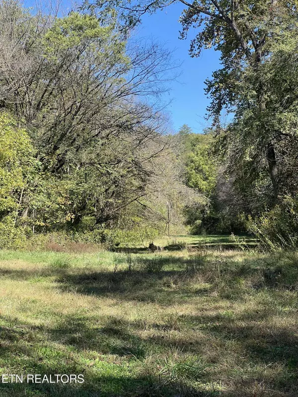 269 Mountain Mist LN, Del Rio, TN 37727