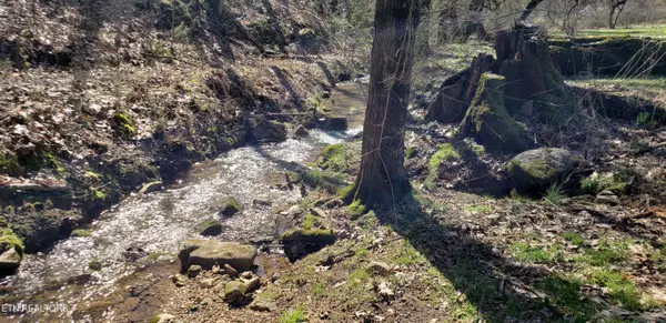 269 Mountain Mist LN, Del Rio, TN 37727