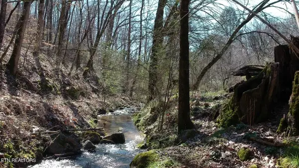 269 Mountain Mist LN, Del Rio, TN 37727