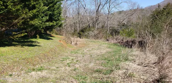 269 Mountain Mist LN, Del Rio, TN 37727