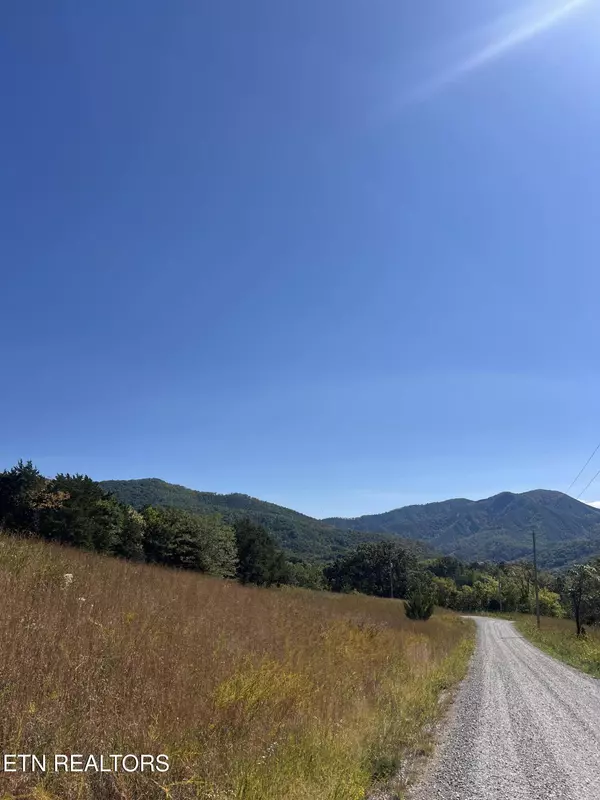 269 Mountain Mist LN, Del Rio, TN 37727