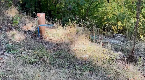 1538 Mayflower LN, Dandridge, TN 37725