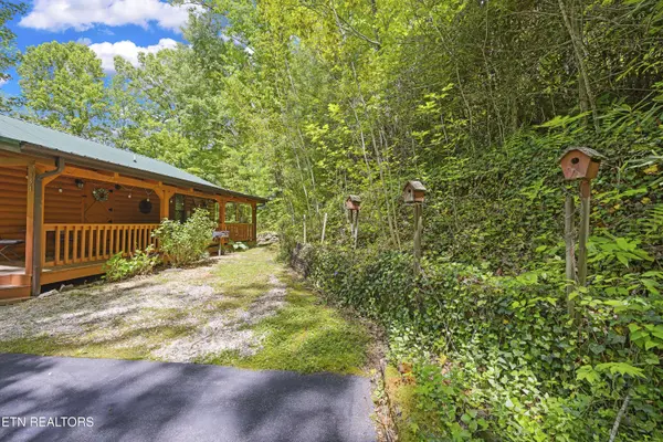 951 Emilyville WAY, Cosby, TN 37722
