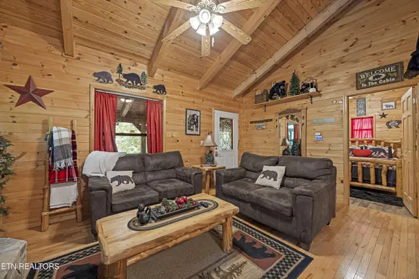 951 Emilyville WAY, Cosby, TN 37722