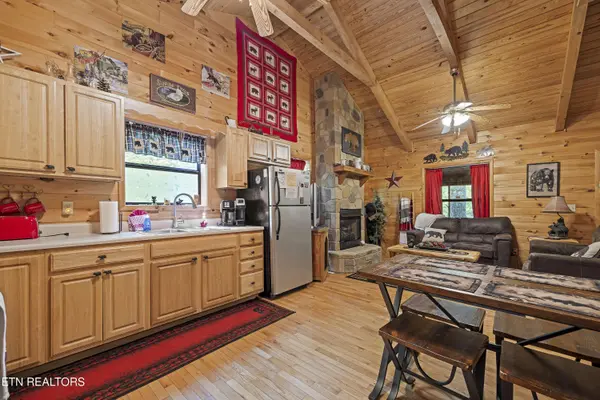 951 Emilyville WAY, Cosby, TN 37722