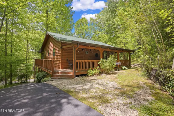 951 Emilyville WAY, Cosby, TN 37722