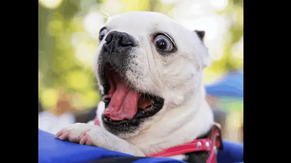 Untitled design - 2026-03-05T121102.951